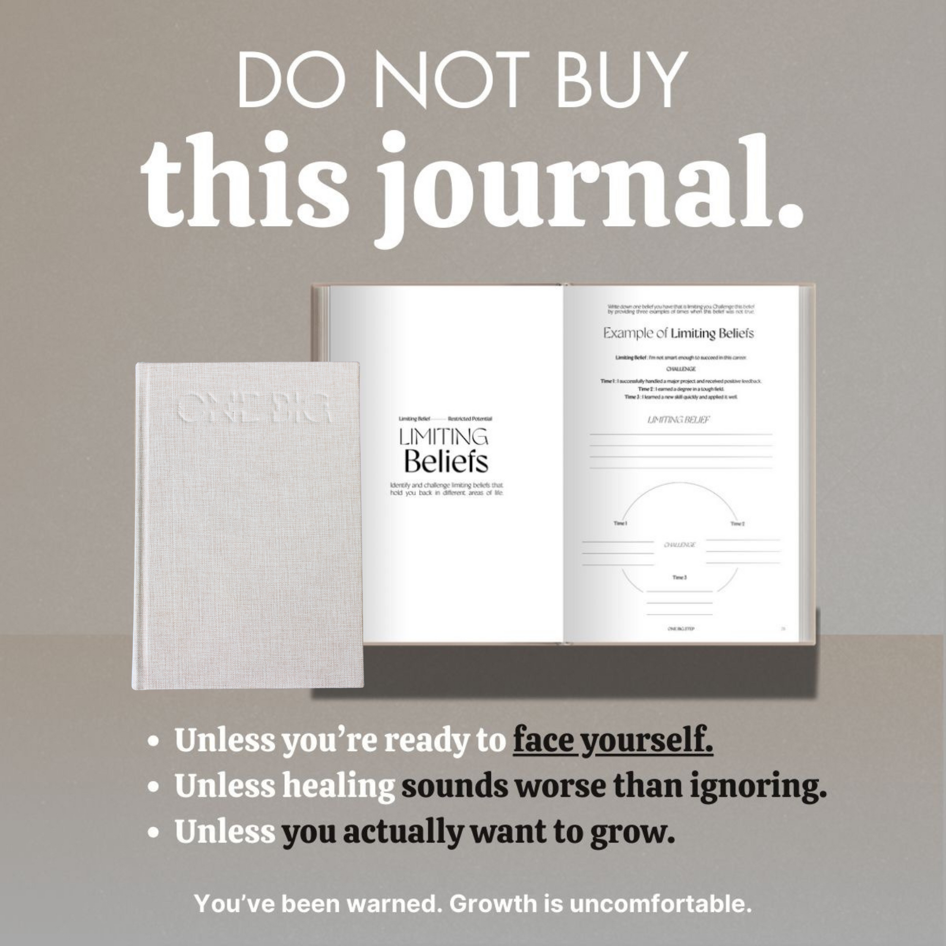 One Big Step journal for planning and reflection during daily routine