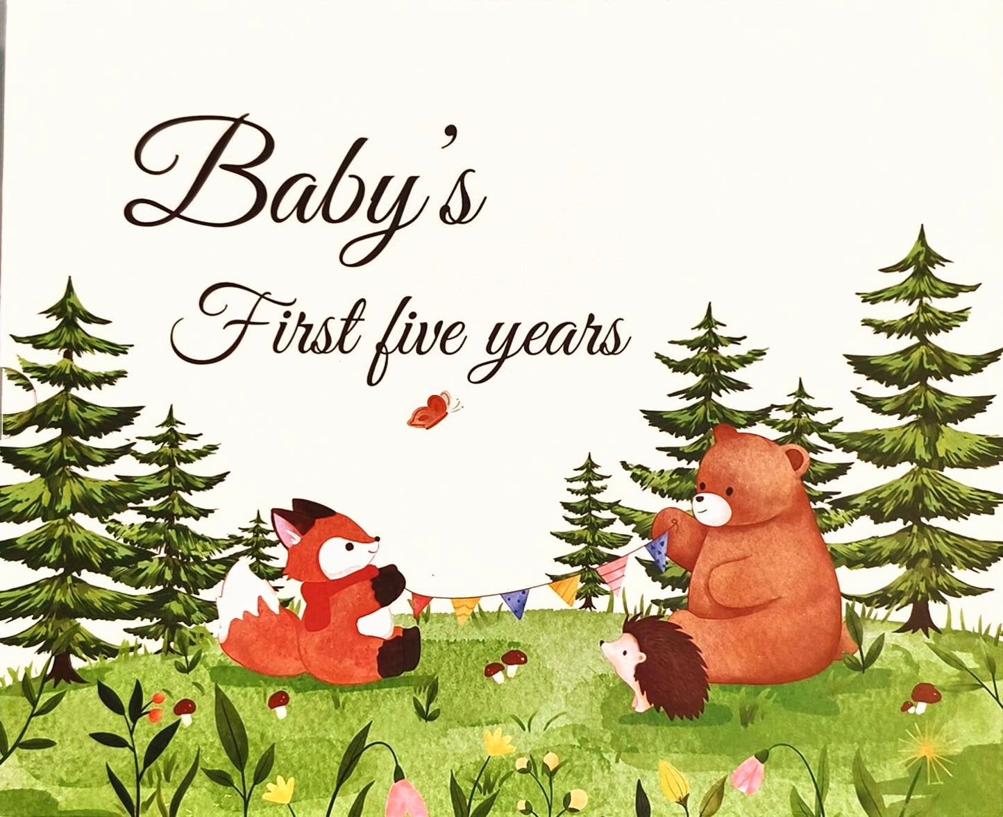 Baby Book-Baby's First Five Years