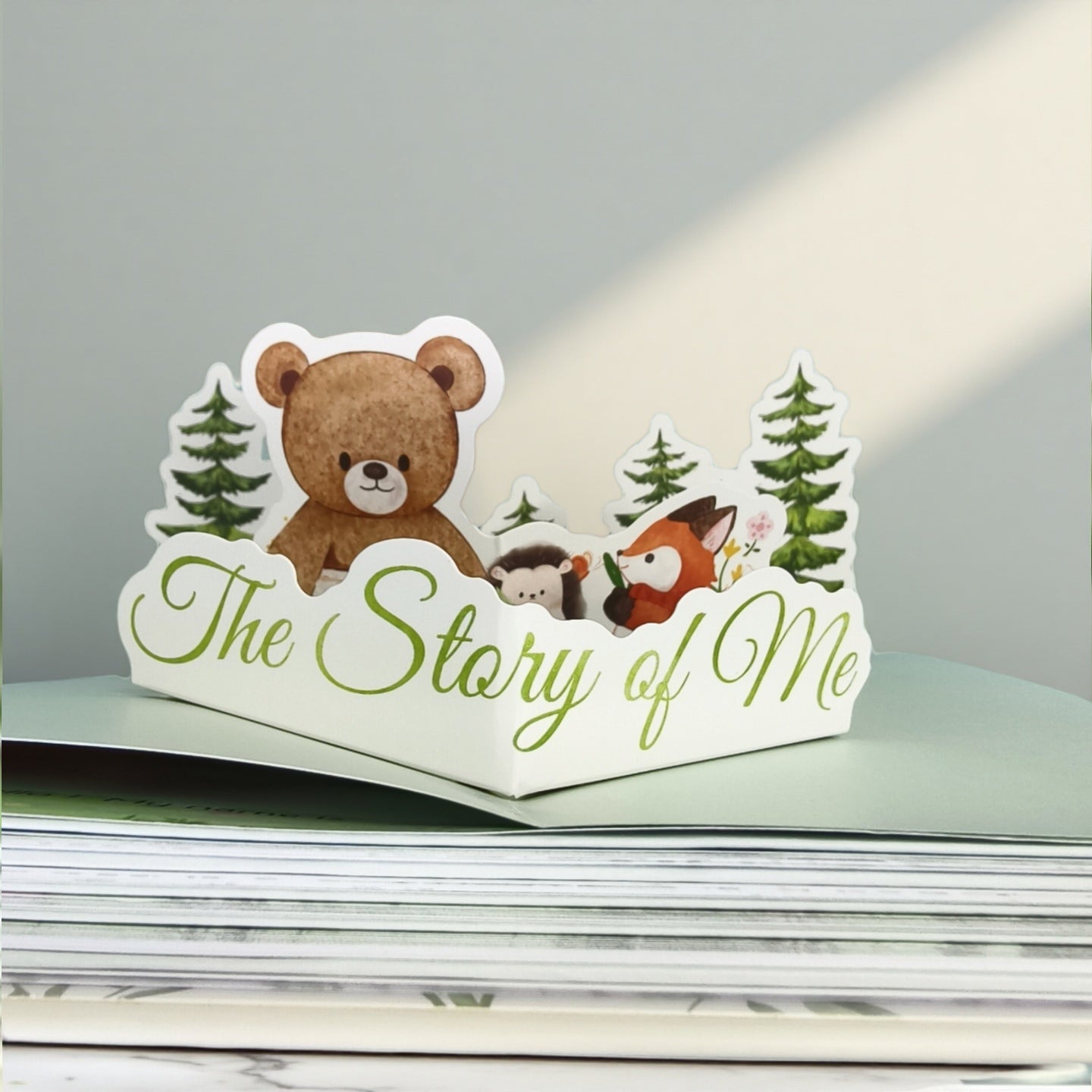 baby memory book gift for new parents and baby showers