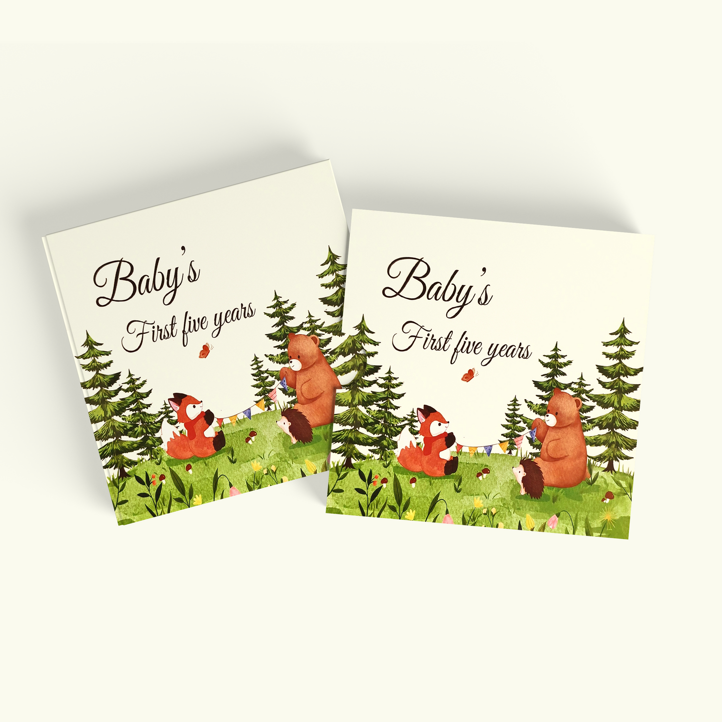 premium hardcover baby book - Baby's First Five Years with slipcase